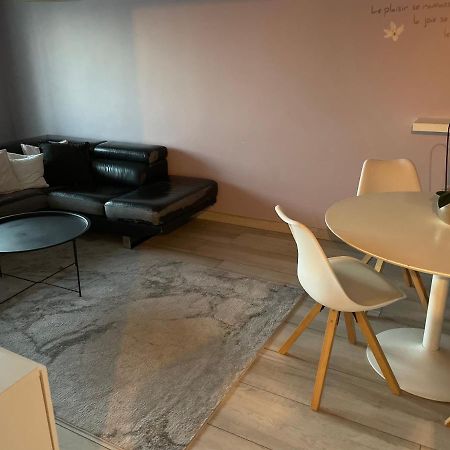 Superbe Appartement Avec Place De Parking Gratuit Straatsburg Buitenkant foto