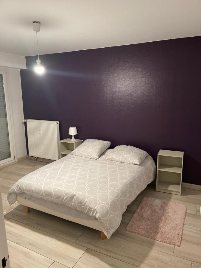 Superbe Appartement Avec Place De Parking Gratuit Straatsburg Buitenkant foto